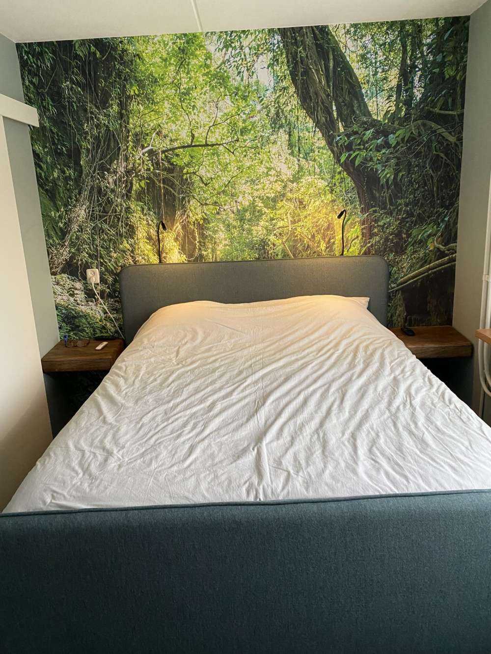 Pad door de jungle