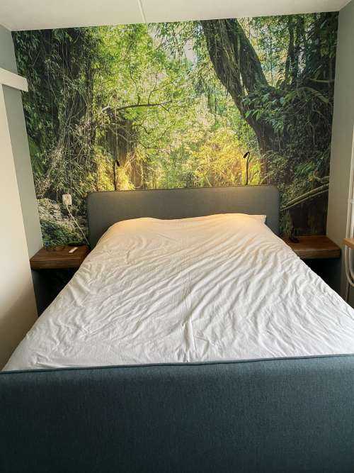 Pad door de jungle