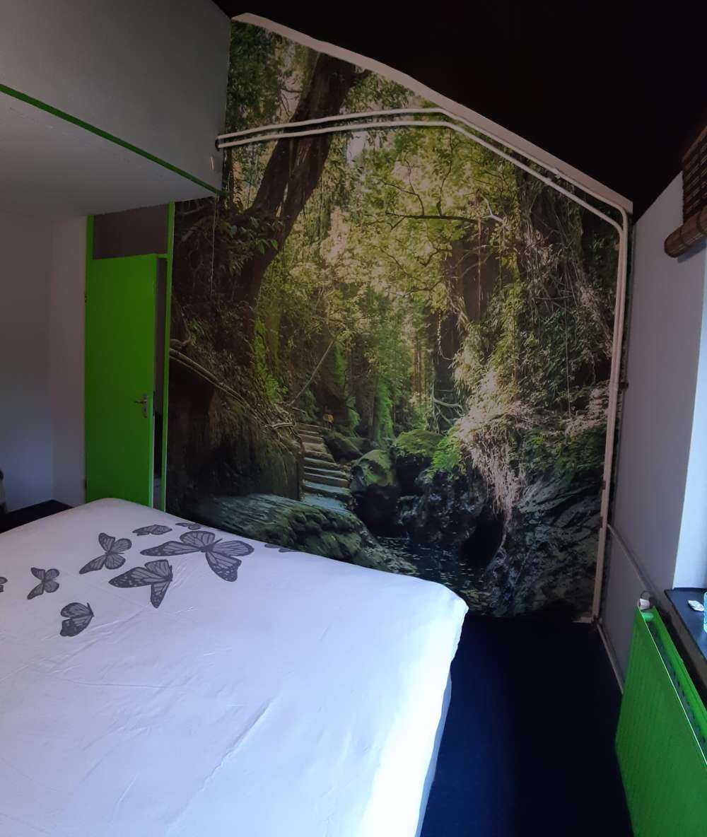 Pad door de jungle