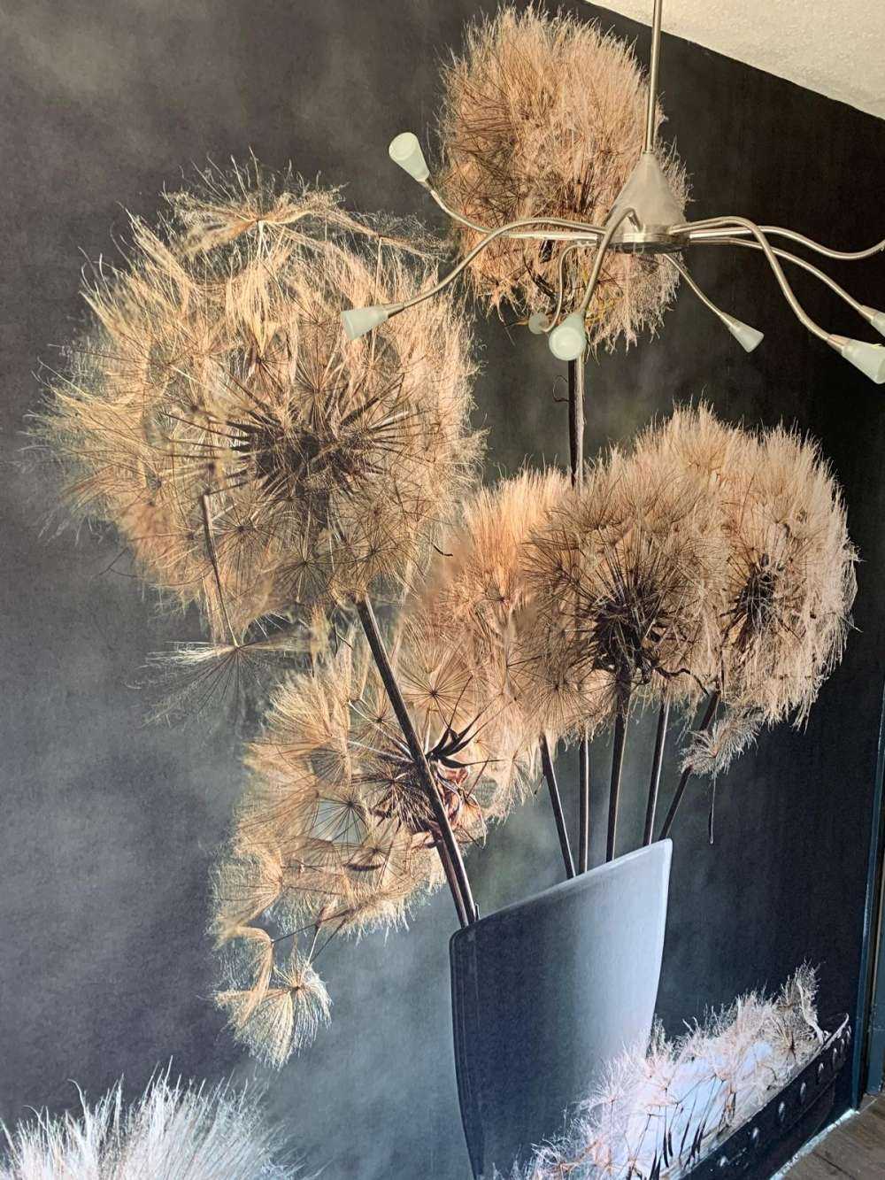 Dandelion Seed Pod