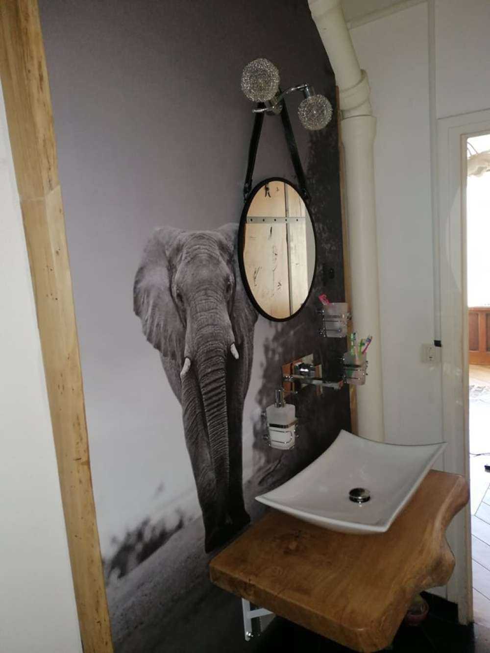 Olifant in de zonsondergang