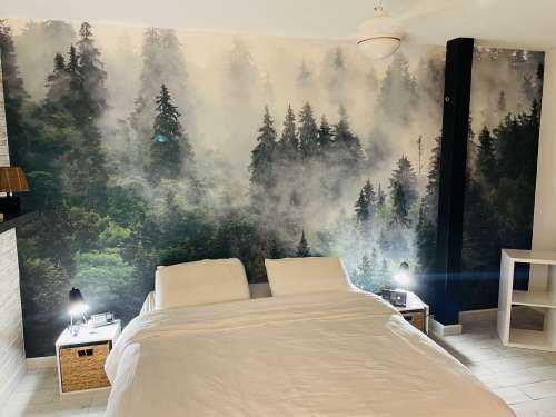 Mistig landschap met groene bomen