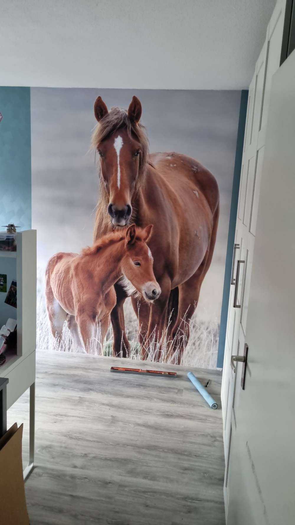 Wilde paarden