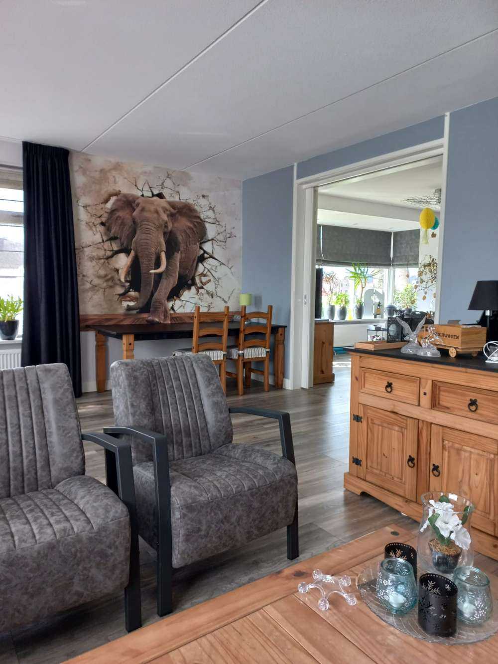Grote olifant uit de muur