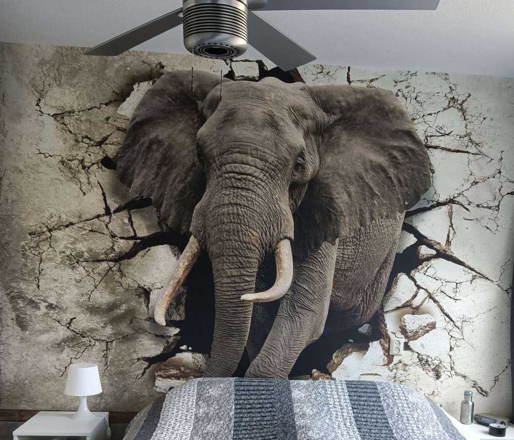 Grote olifant uit de muur