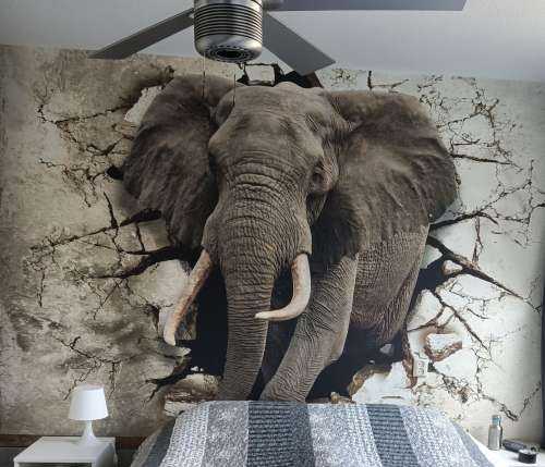 Grote olifant uit de muur