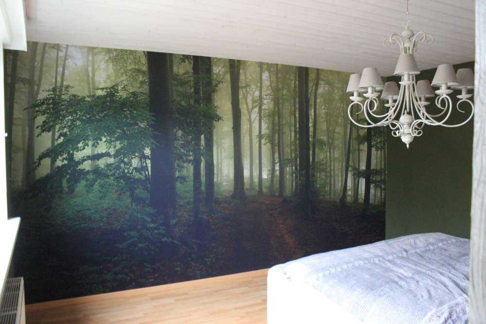 Pad door mistig groen bos