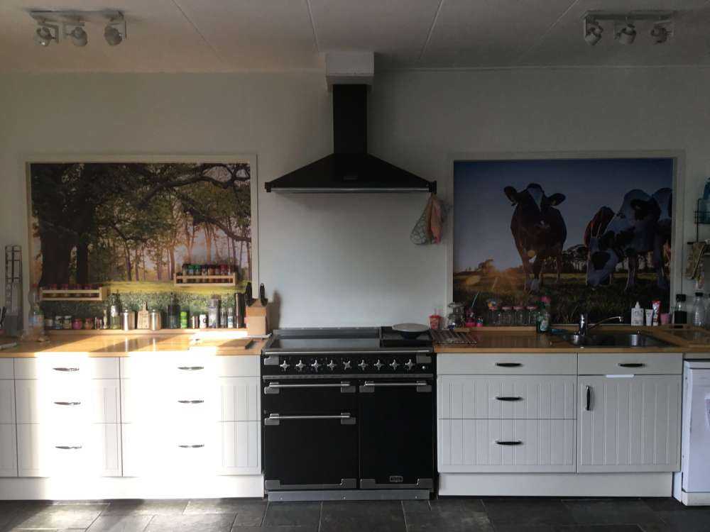 Open plek in het bos