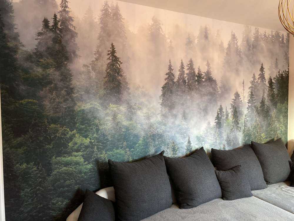 Mistig landschap met groene bomen