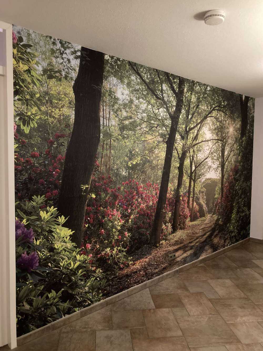 Zonsopkomst bij pad met rhododendrons