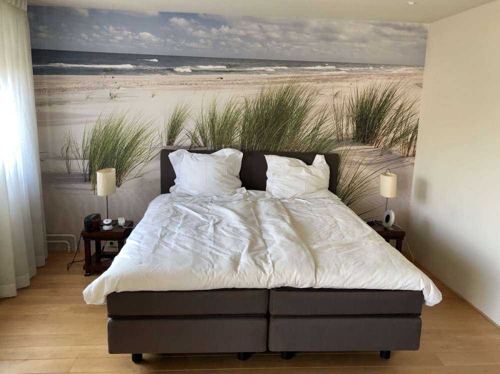 Strand met duinplanten