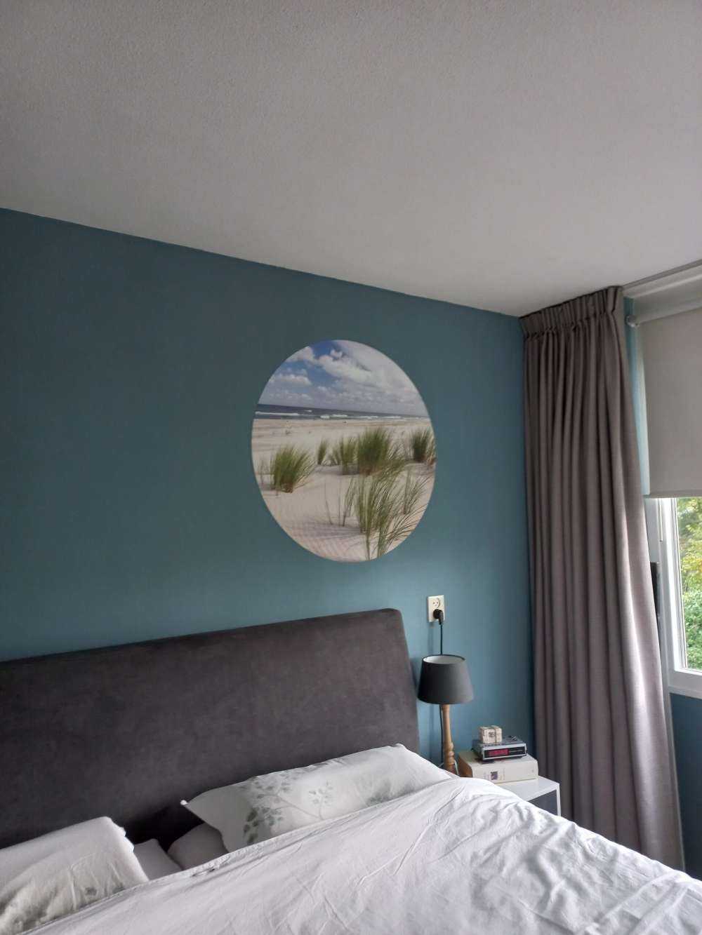 Strand met duinplanten