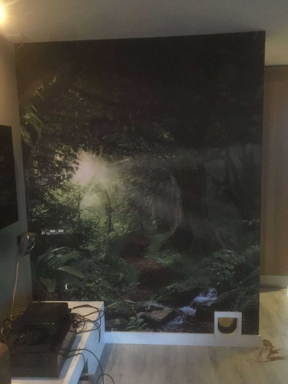 Tropische jungle met zonlicht