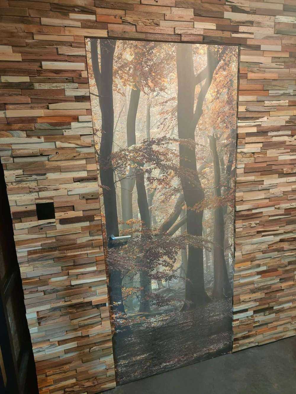 Herfstkleuren in het bos