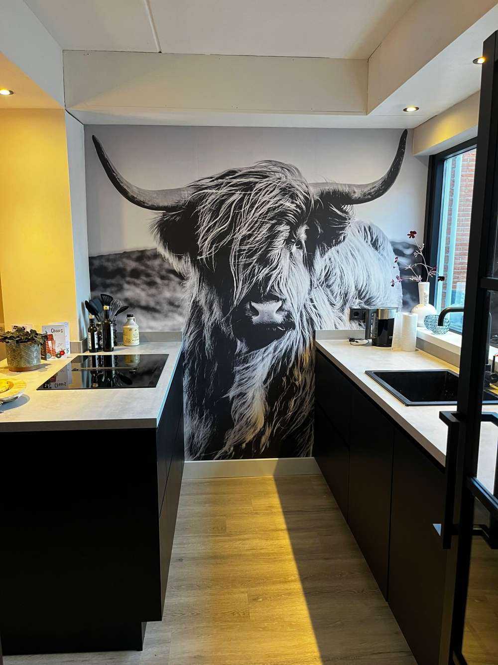 Schotse hooglander in zwart-wit