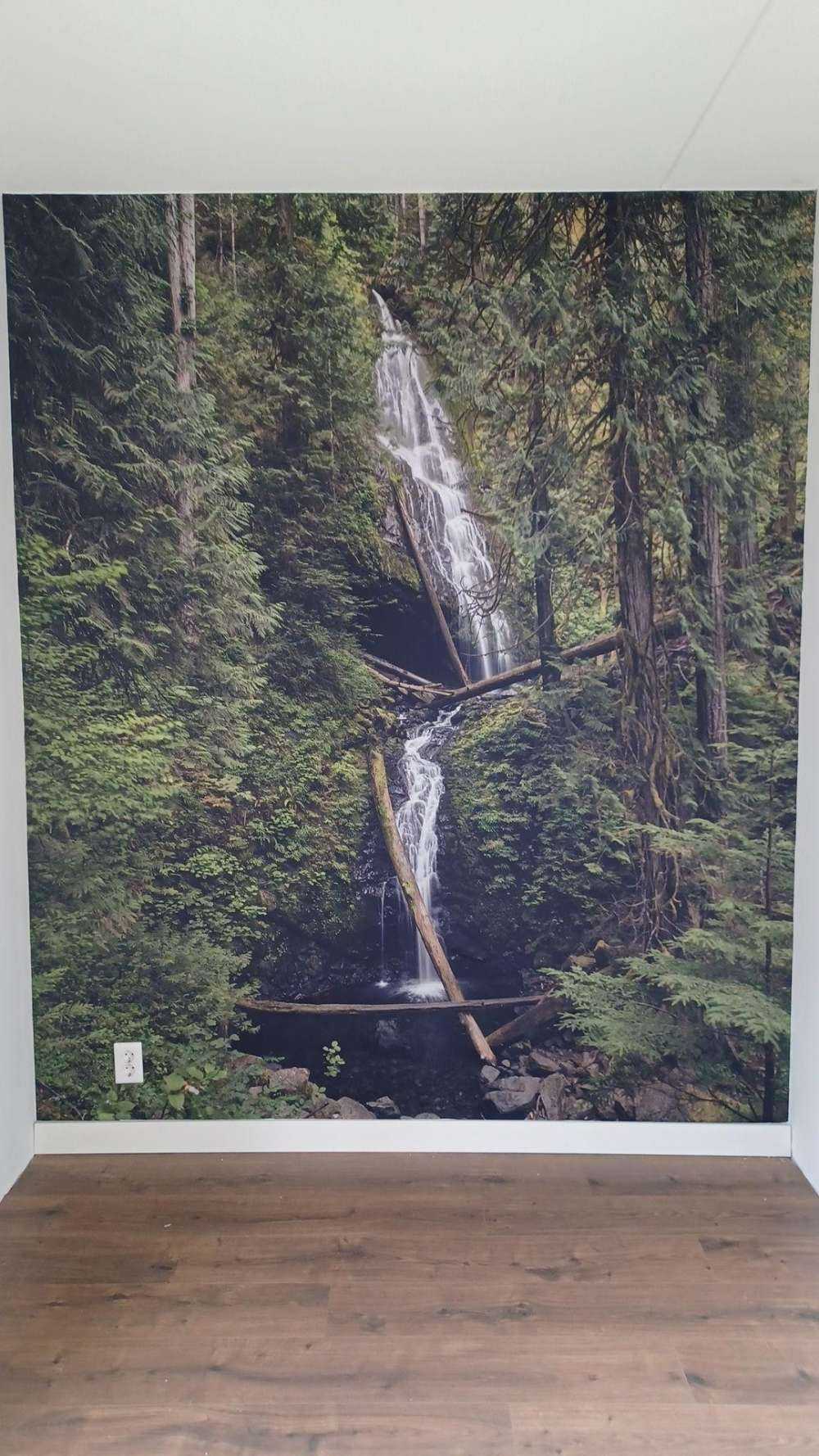 Waterval met omgevallen bomen