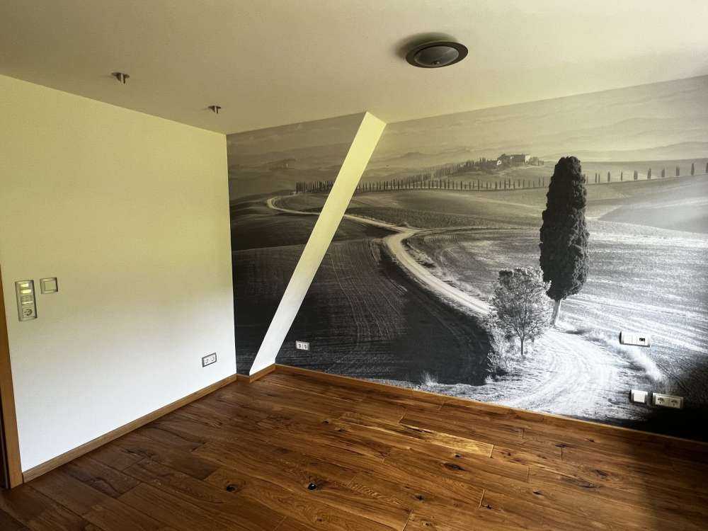 Morning in the field