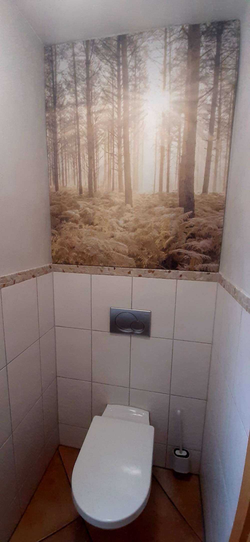 Zonnestralen in het koude bos