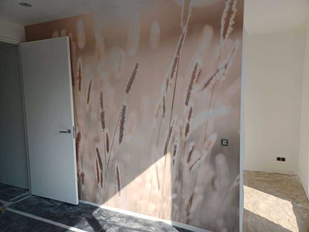 Zonlicht door weiland