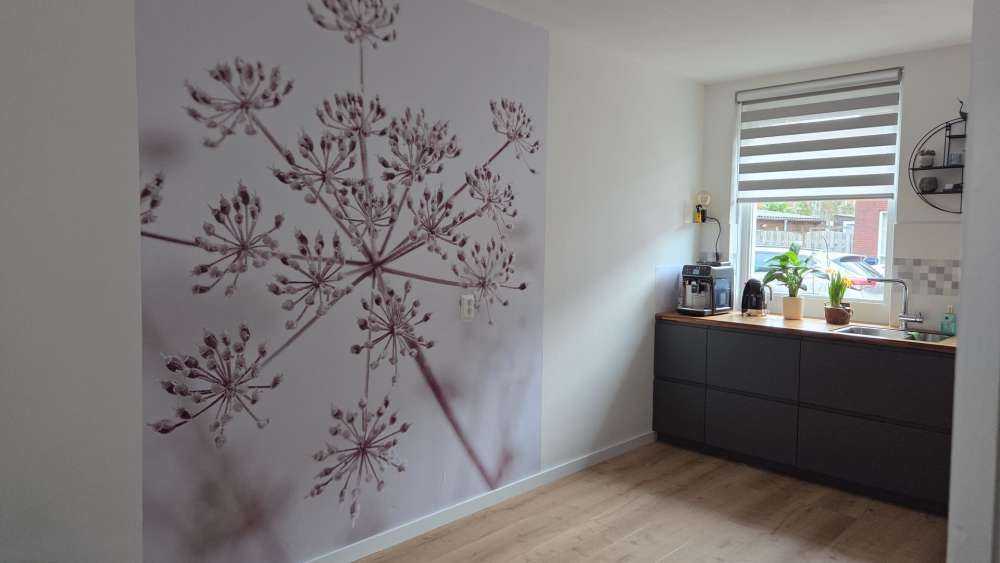 Close-up fluitenkruid