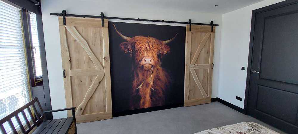 Portret Schotse hooglander
