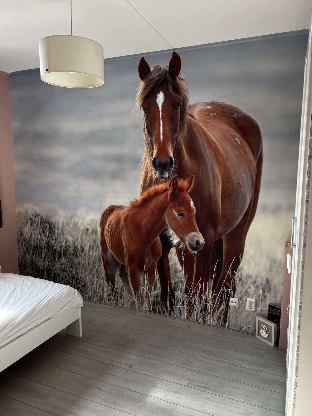 Wilde paarden
