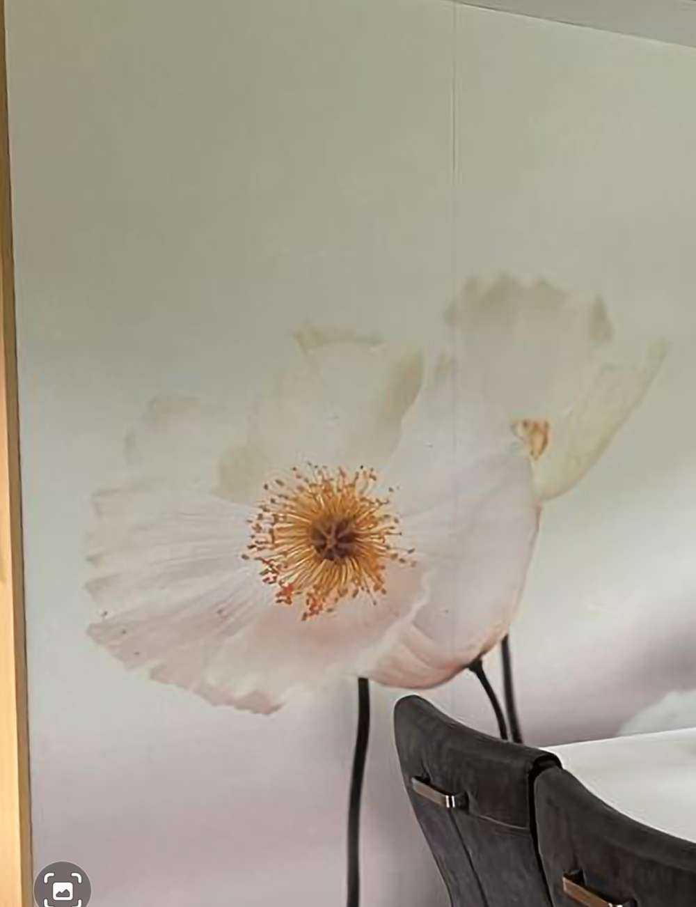 Witte klaprozen close-up