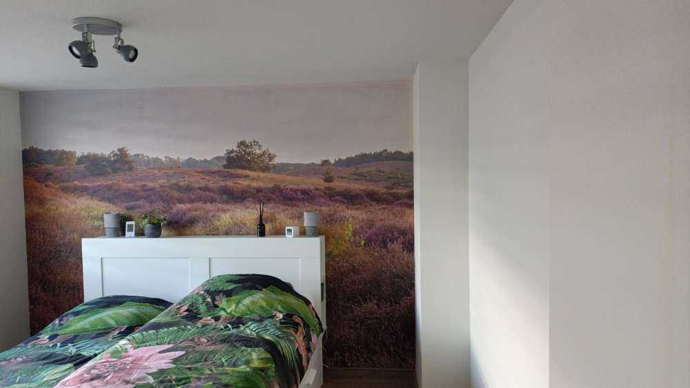 Heide bij zonsopgang