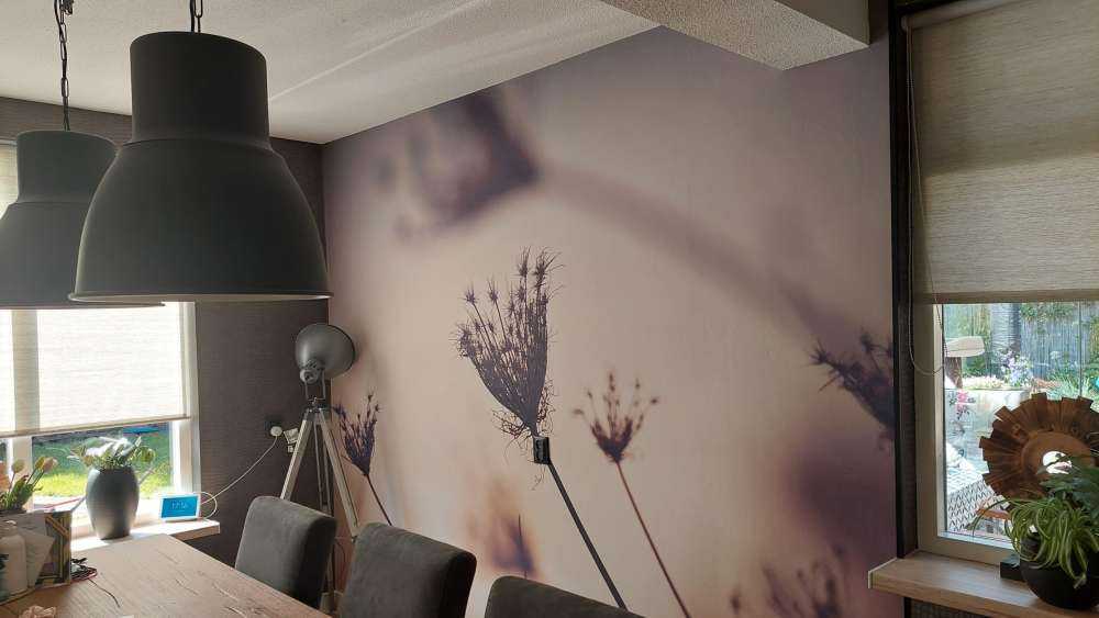 Silhouetten van planten