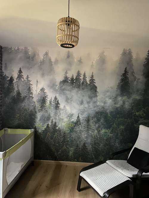 Mistig landschap met groene bomen