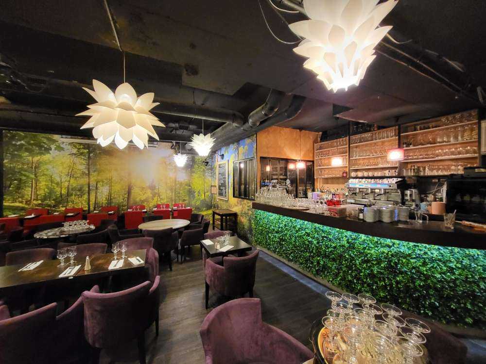 Bos met zonnestralen