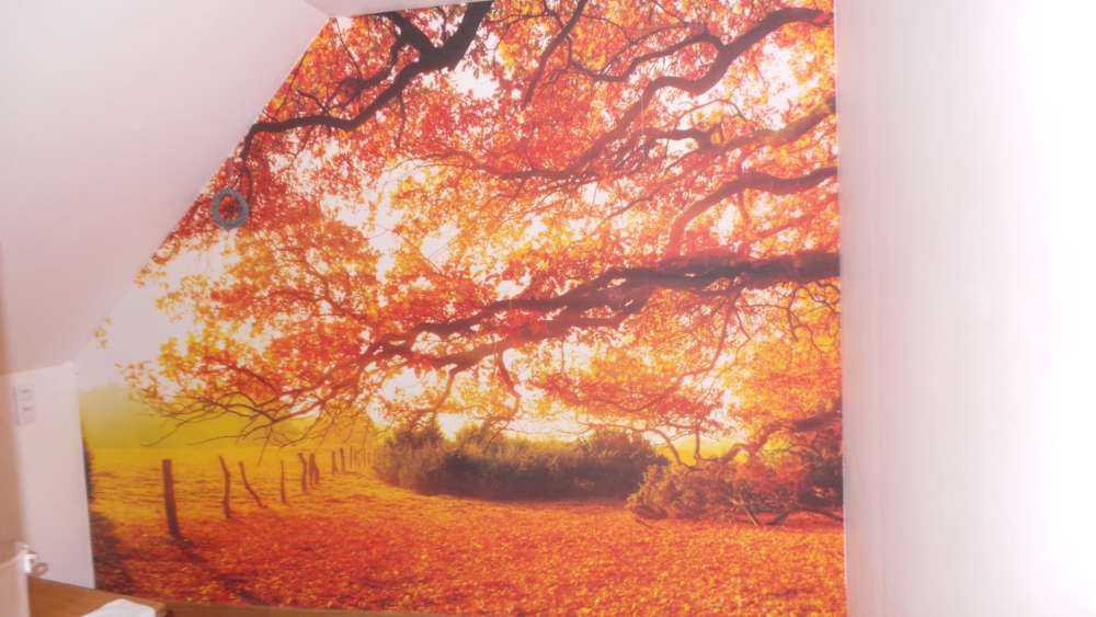 Herfstlandschap met bos en weide