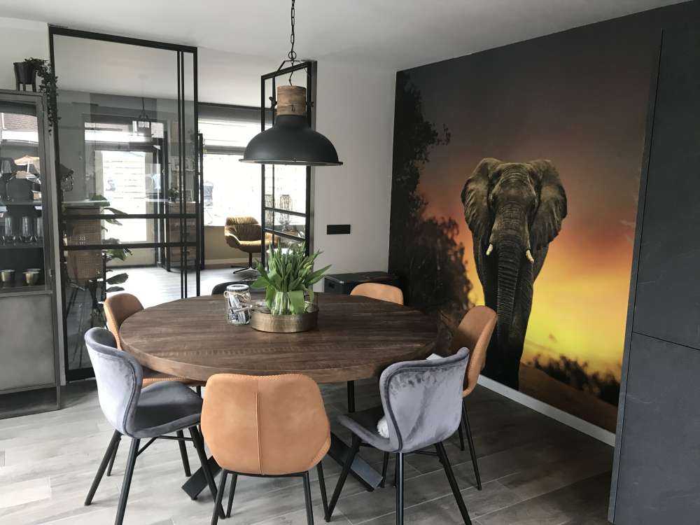 Olifant in de zonsondergang