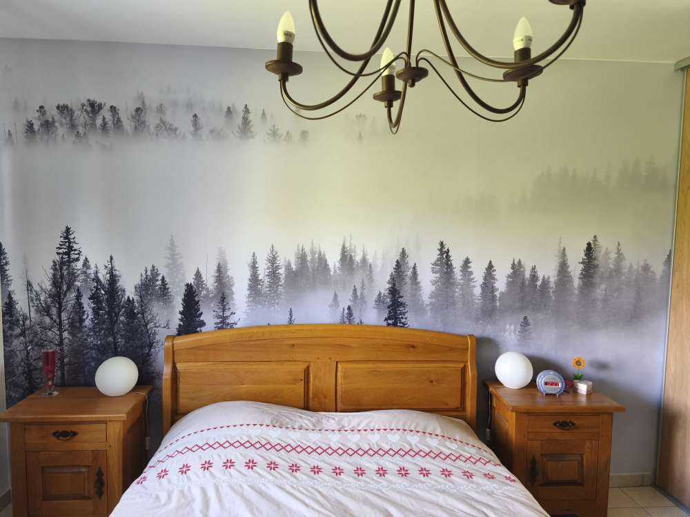 Foggy Forest - 1x