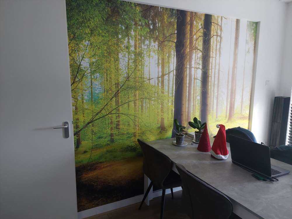 Frisgroen bos