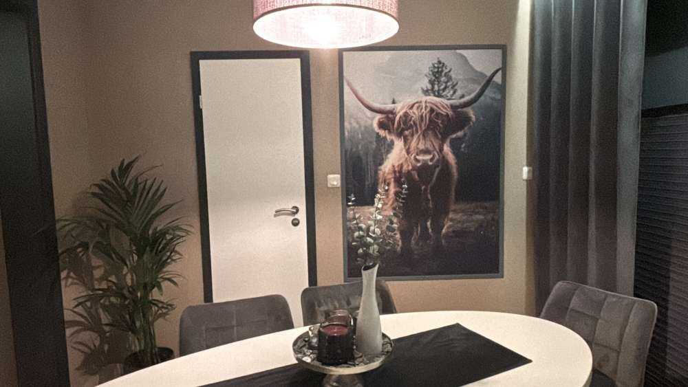 Schotse hooglander bij het bos