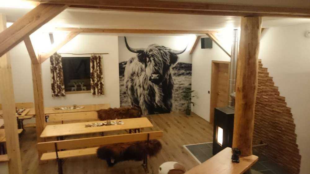 Schotse hooglander in zwart-wit