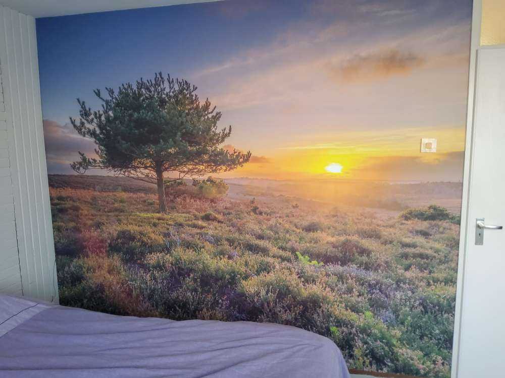 Zonsondergang op de heide