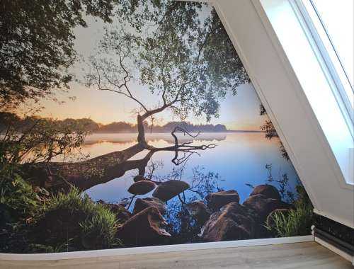 Lake view