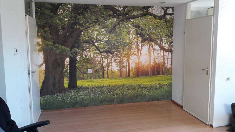 Open plek in het bos