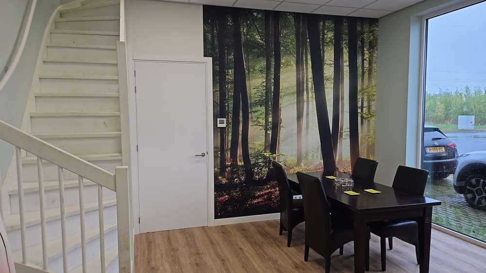 Ochtendzon tussen de bomen