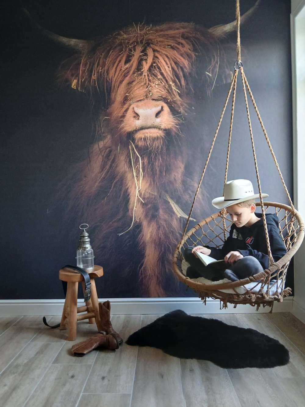 Portret Schotse hooglander