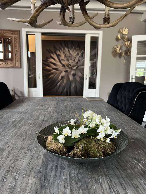 Dahlia bloem zwart wit