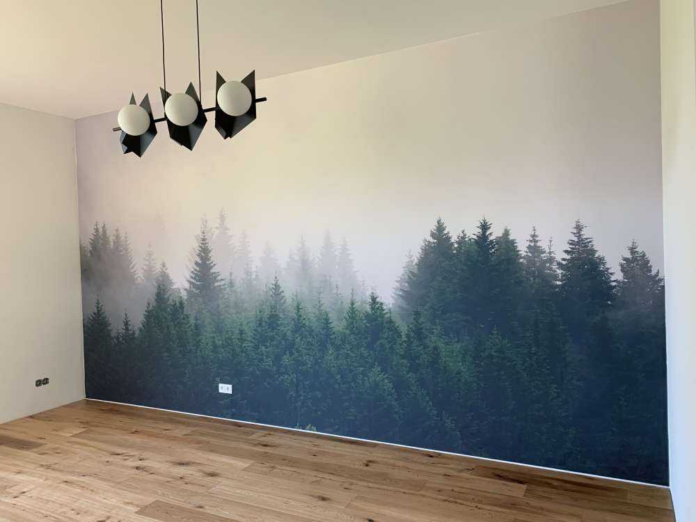 Dennenbomen in de mist