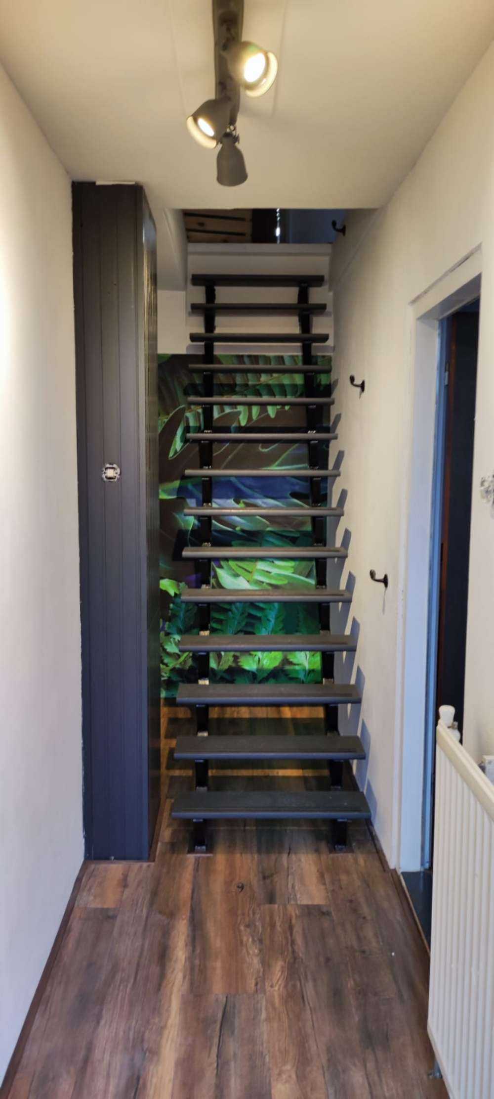 Groene jungle bladeren