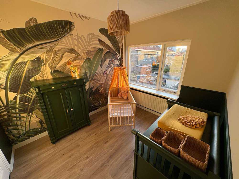 Planten in de jungle