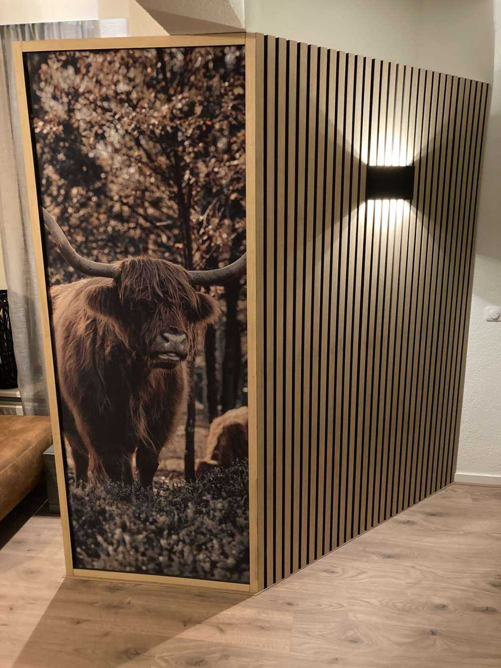 Schotse hooglander bij de bosrand