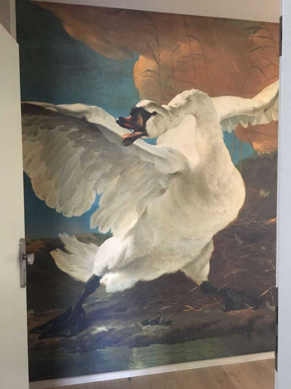 De bedreigde zwaan