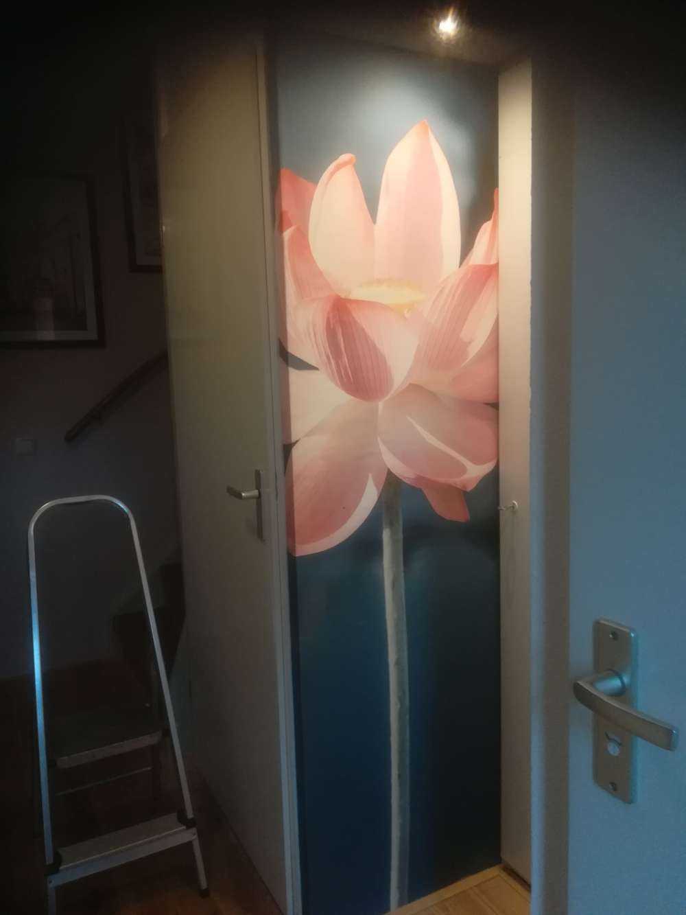 Lotusbloem lichtroze