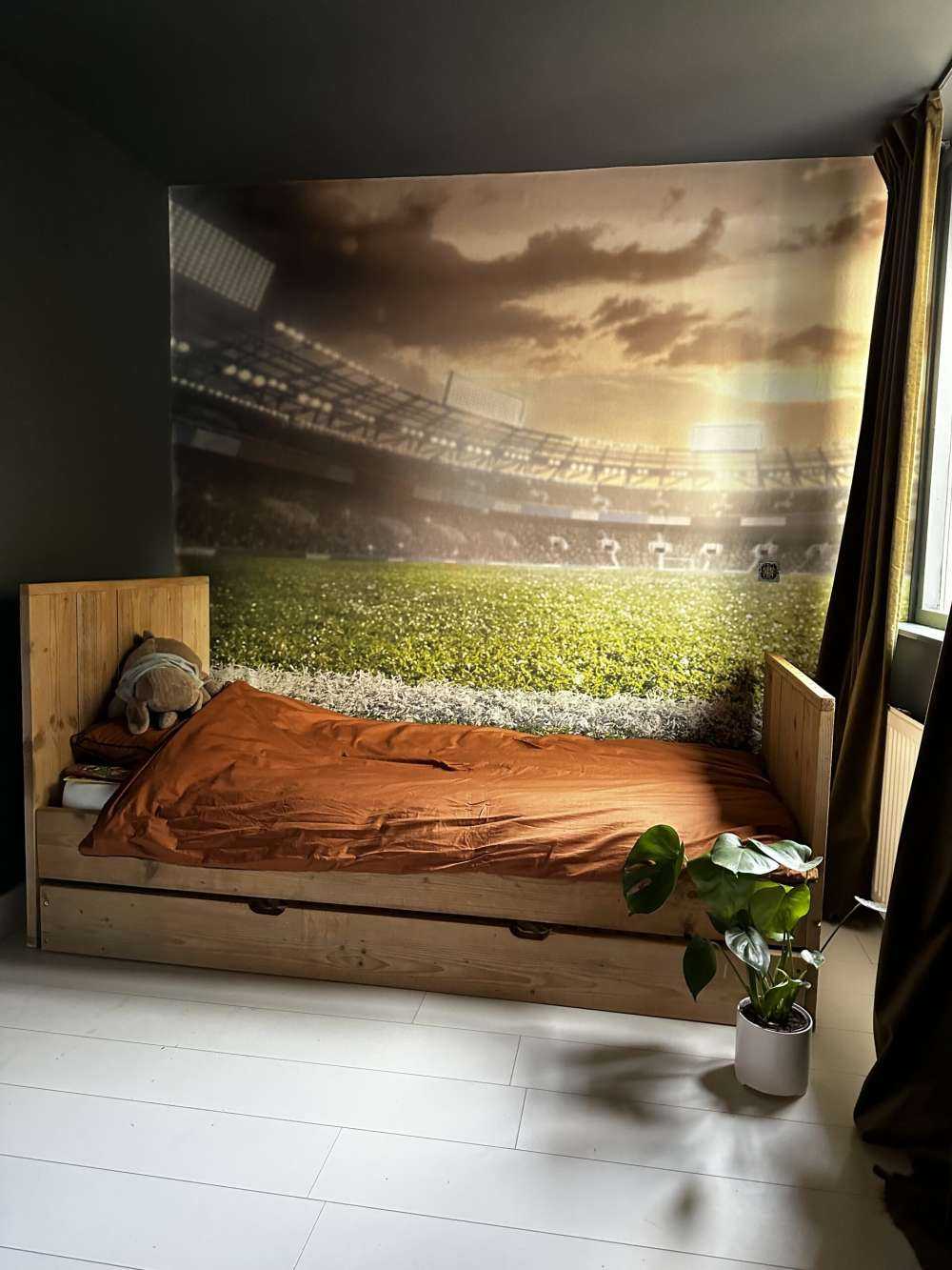 Stadion met kunstgras